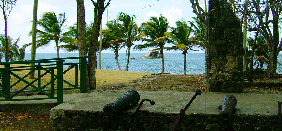 Pigeon Island waterfront and coastal habitat