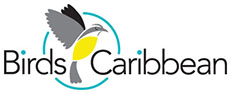 BirdsCaribbean logo