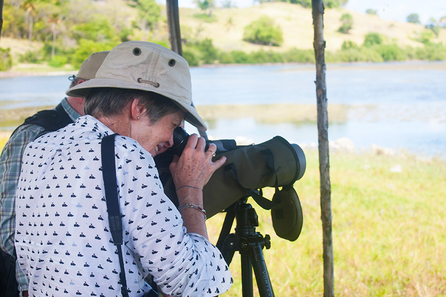 Scoping St. Lucia's Endemic Birds