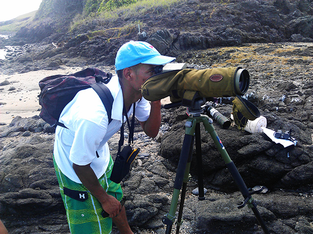 Bird Watching in St. Lucia