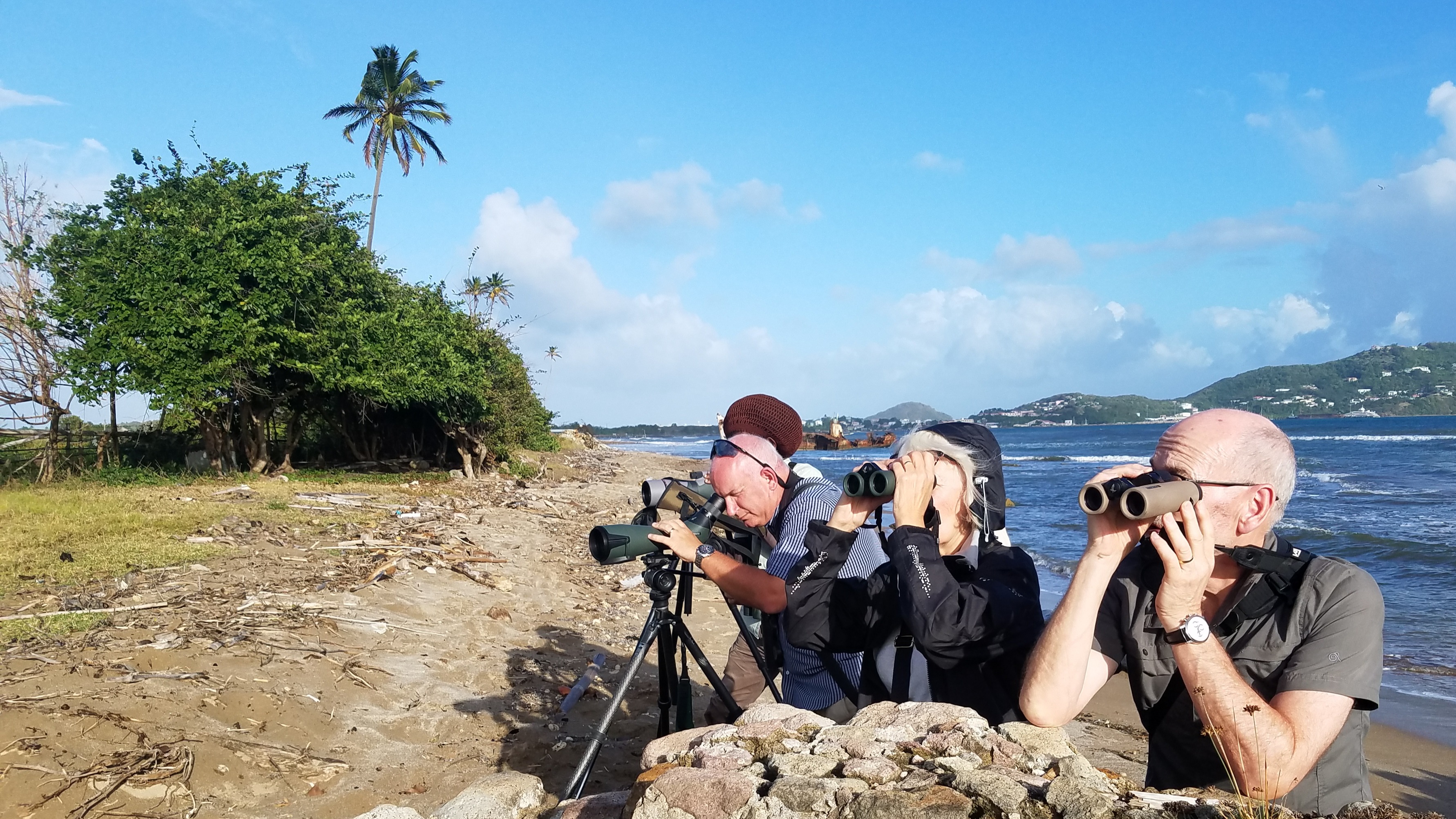 Saint Lucia birding experience