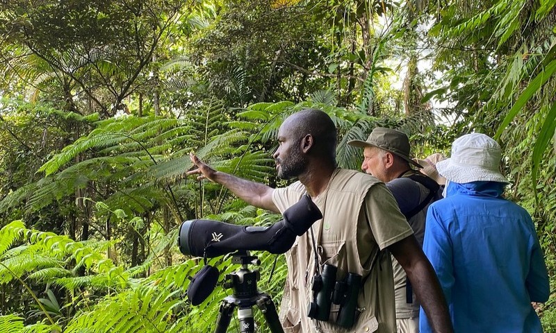 Coast To Canopy Guide Scope Rainforest