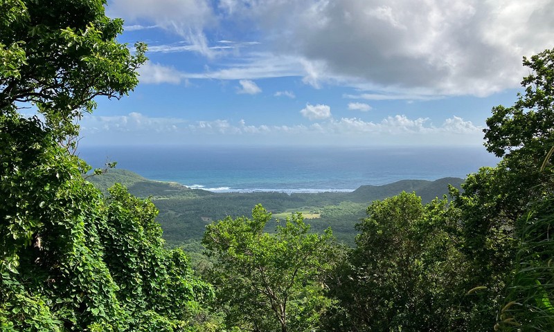 Coast To Canopy Rainforest Overlook Sea View