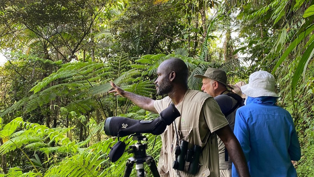 Local wildlife guide leading guests in Saint Lucia