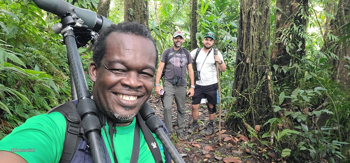 Local guide and visitors on a forest trail in Saint Lucia