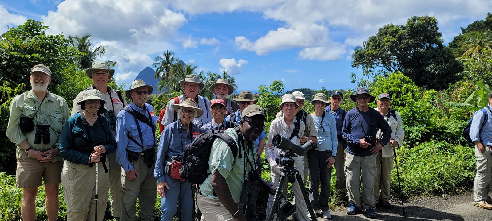 Birding group in Saint Lucia habitat connected with specialist birding tours