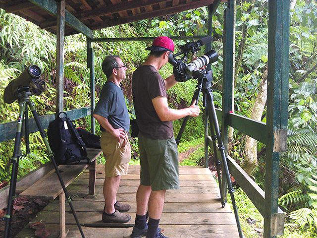 Visitors on the Specialist & Endemic Birds Expedition / Cruise Ship Special experience in St. Lucia