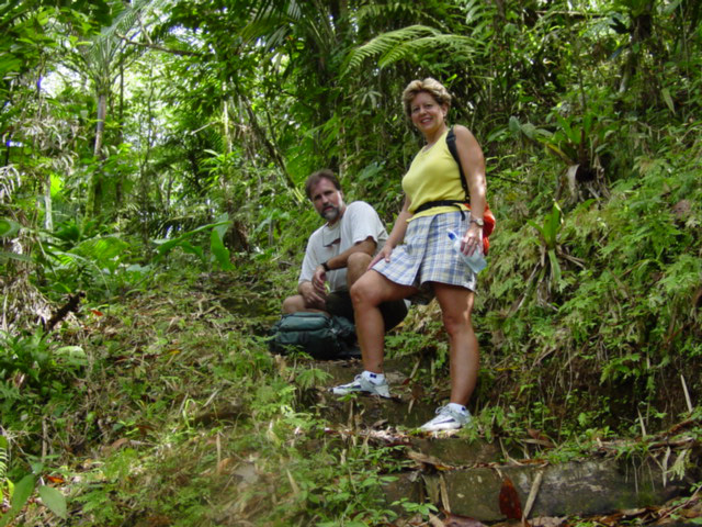 Des Cartiers rainforest trail